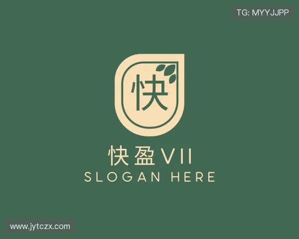 关于快盈VII